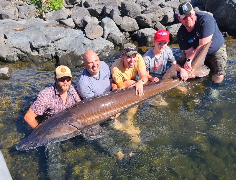 9 foot snake river sturgeon