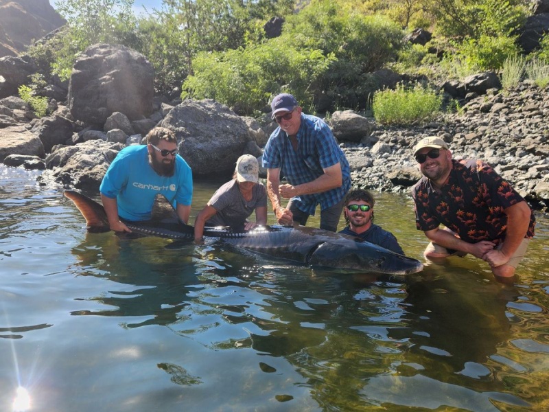 hells-canyon-sturgeon-8footer